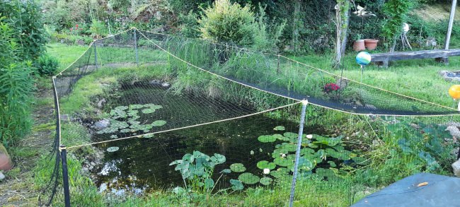 Kundenfoto von Vogelschutznetz per m² (nach Maß) 