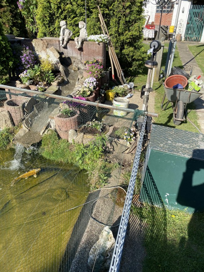 Kundenfoto von Heron Protection Net by the m² (Custom-Made), black 