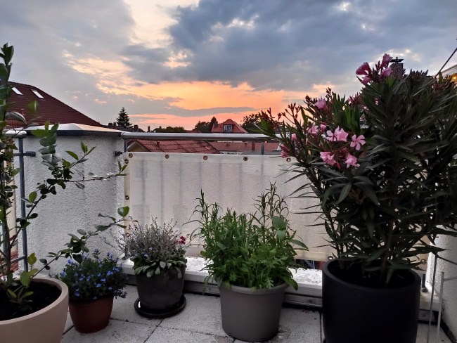 Kundenfoto von Windschutznetz nach Maß für Heim, Garten und Sport 