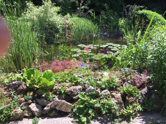 Kundenfoto von Heron Protection Net by the m² (Custom-Made), black 