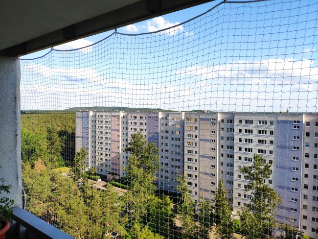 Kundenfoto von Bird Protection Net with Border, by the m² (Custom-Made) 