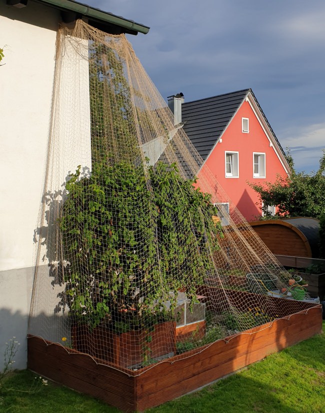 Kundenfoto von Taubenschutznetz per m² (nach Maß) 