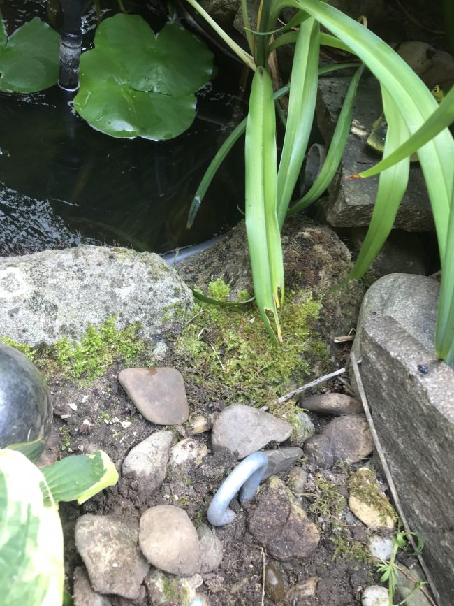 Kundenfoto von Screw-In Ground Anchor 40 cm 