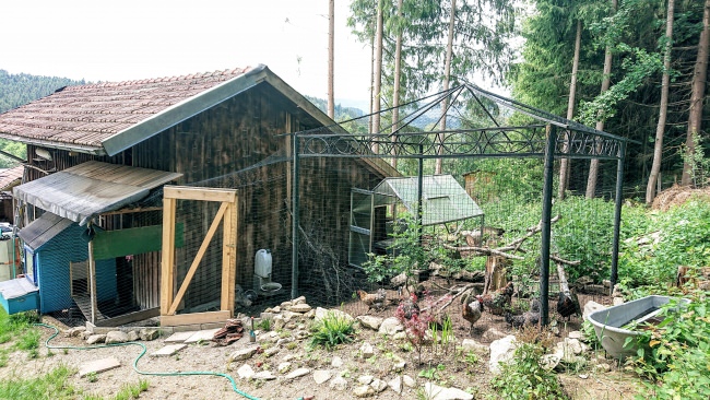 Kundenfoto von Pigeon Protection Net by the m² (Custom-Made) 