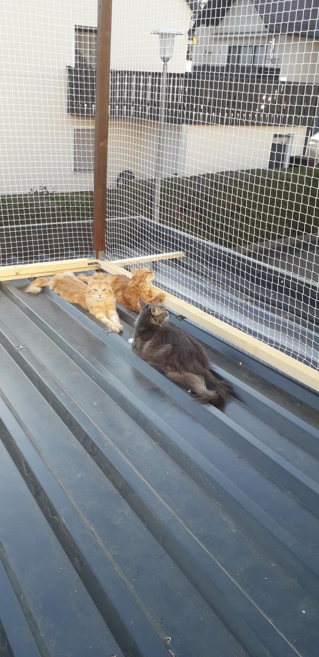 Kundenfoto von Volieren-Schutznetz per m² (nach Maß) 