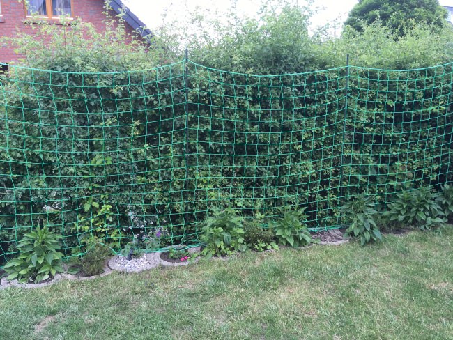 Kundenfoto von Fußballfangnetz per m² (nach Maß) 