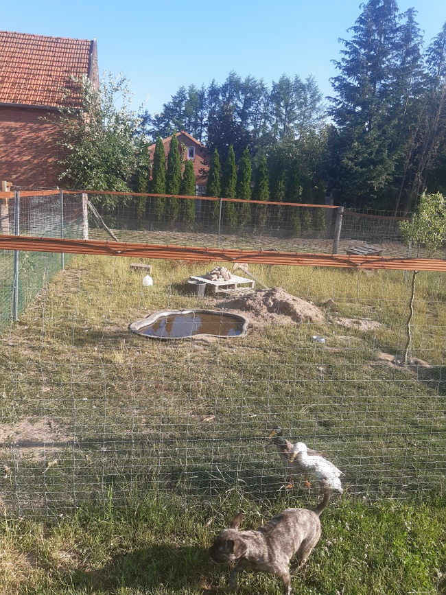 Kundenfoto von Sicherheitsnetz per m² (nach Maß) 1,5/100 mm 