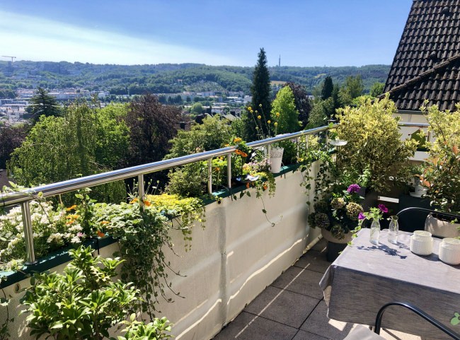 Kundenfoto von Windschutznetz nach Maß für Heim, Garten und Sport 