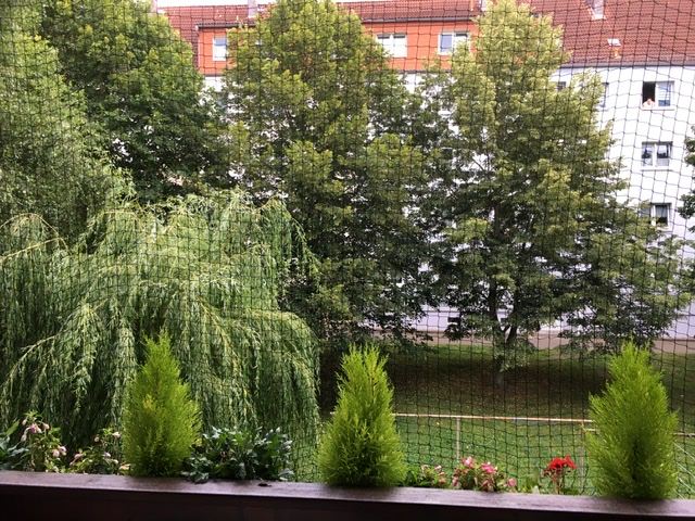 Kundenfoto von Cat Safety Net by the m² (Custom-Made) 