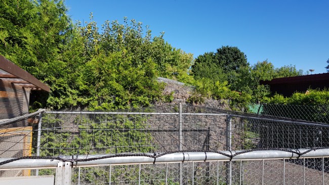 Kundenfoto von Heron Protection Net by the m² (Custom-Made), black 