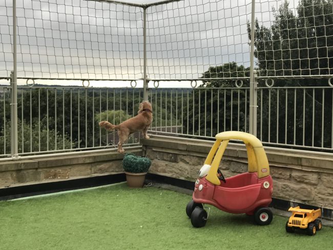 Kundenfoto von Bauschutznetz DIN EN 1263-1 per m² (nach Maß) 