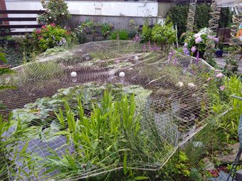 Kundenfoto von Taubenschutznetz per m² (nach Maß) 