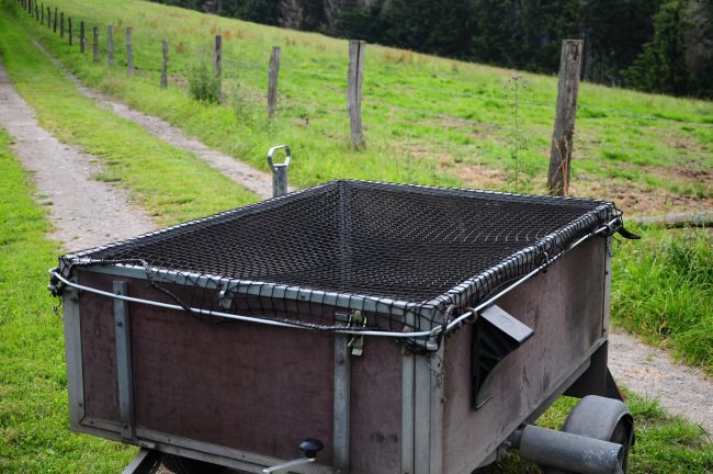 Kundenfoto von Shock Cord 6 mm - Available by the Meter 