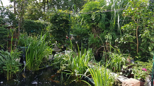 Kundenfoto von Heron Protection Net by the m² (Custom-Made), black 