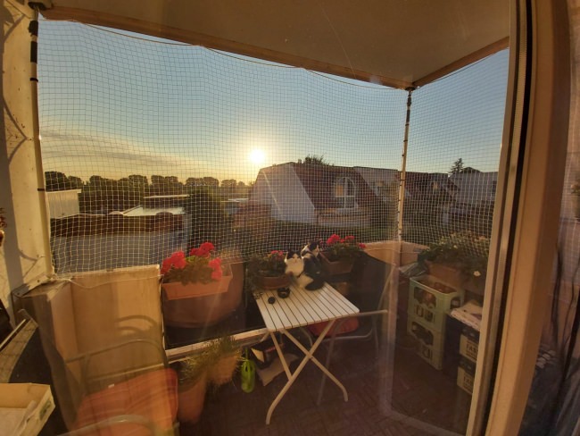 Kundenfoto von Cat Safety Net by the m² (Custom-Made) 