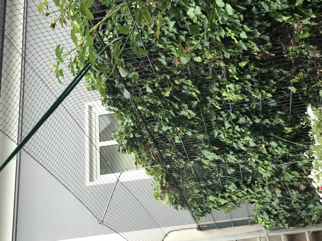 Kundenfoto von Fastening Cord 3 mm - Available by the Meter 