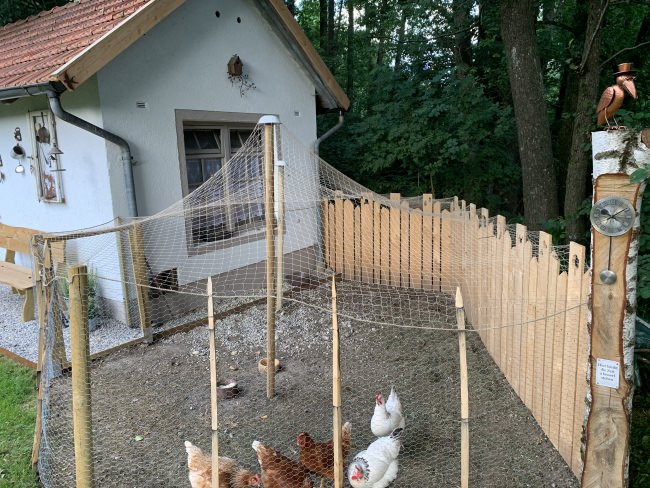 Kundenfoto von Taubenschutznetz per m² (nach Maß) 