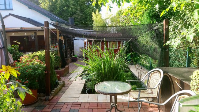 Kundenfoto von Custom-Made Foliage Protection Net against leaves 