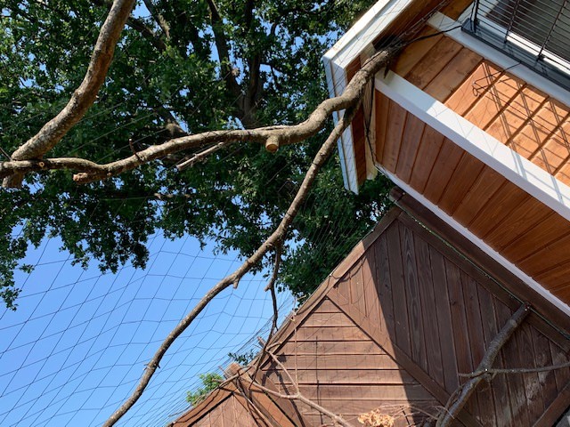 Kundenfoto von Aviary Net by the m² (Custom-Made), black 