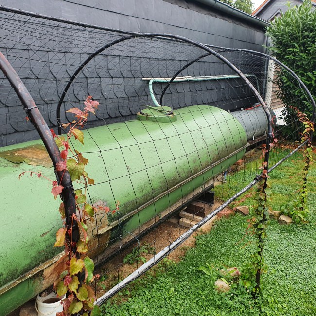 Kundenfoto von Climbing Plant Net by the m² (Trellis Netting), Black 