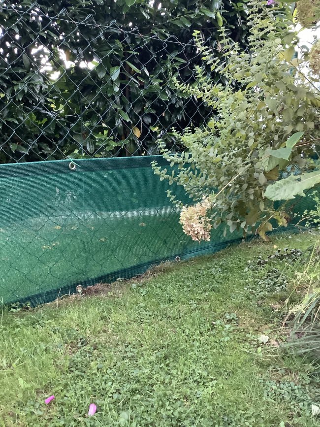 Kundenfoto von Tennis Court Screen by the m² (Custom-Made 