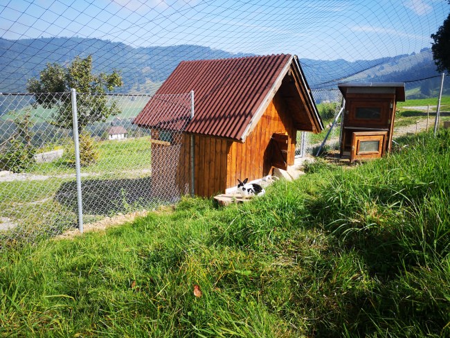 Kundenfoto von Aviary Net by the m² (Custom-Made), black 