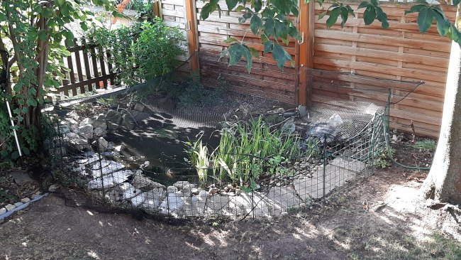 Kundenfoto von Leaf Net by the m² (Custom-Made) 