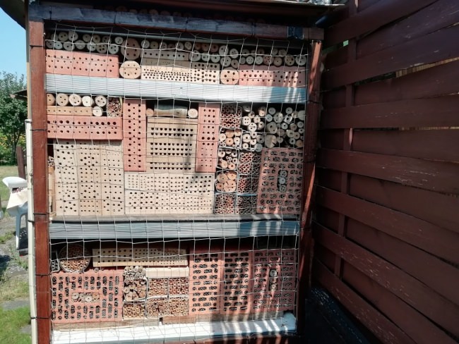 Kundenfoto von Pigeon Protection Net by the m² (Custom-Made) 