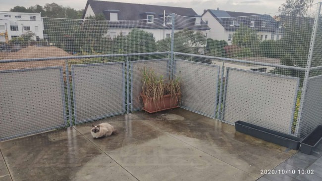 Kundenfoto von Netz per Quadratmeter (nach Maß) 1,0/30 mm 