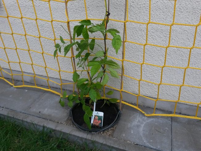 Kundenfoto von Construction Site Net pursuant to EN 1263-1 by the m² (Custom-Made) 