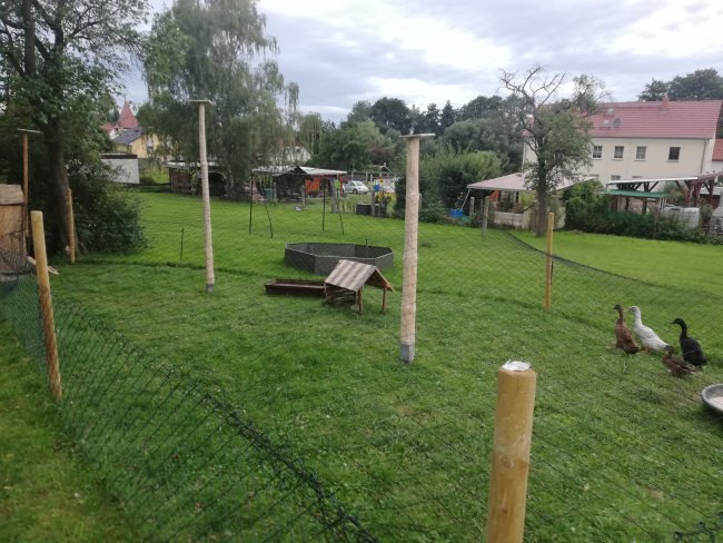 Kundenfoto von Reiher-Schutznetz per m² (nach Maß), schwarz 