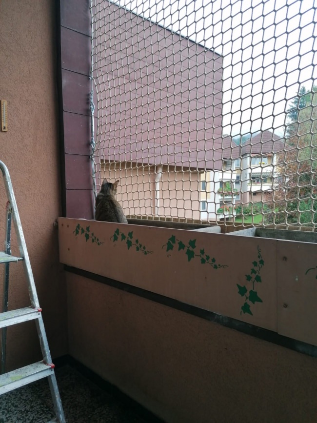 Kundenfoto von Kindergarten-Sicherungsnetz per m² (nach Maß) 