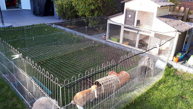 Kundenfoto von Poultry Net for chicken pens, by the m² (Made to Measure) 