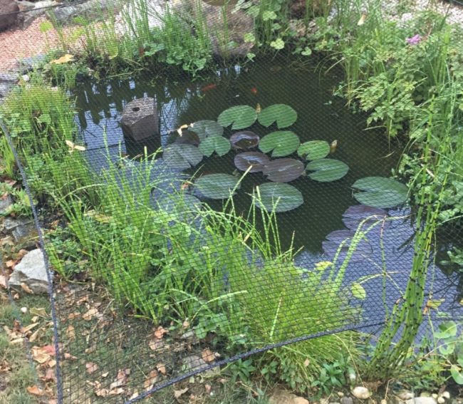 Kundenfoto von Heron Protection Net by the m² (Custom-Made), black 