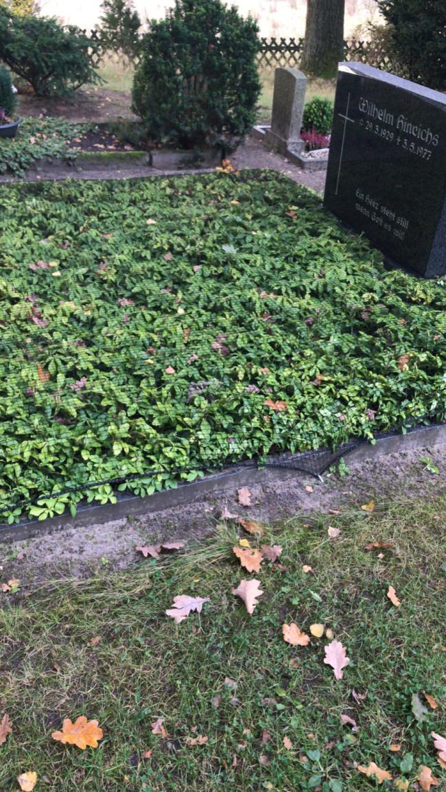 Kundenfoto von Leaf Net by the m² (Custom-Made) 