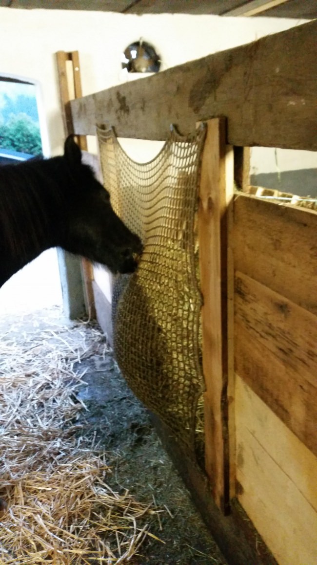 Kundenfoto von Hayrack Net by the m² (Made to Measure), Green 