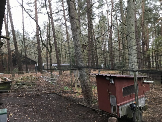 Kundenfoto von Reiher-Schutznetz per m² (nach Maß), schwarz 