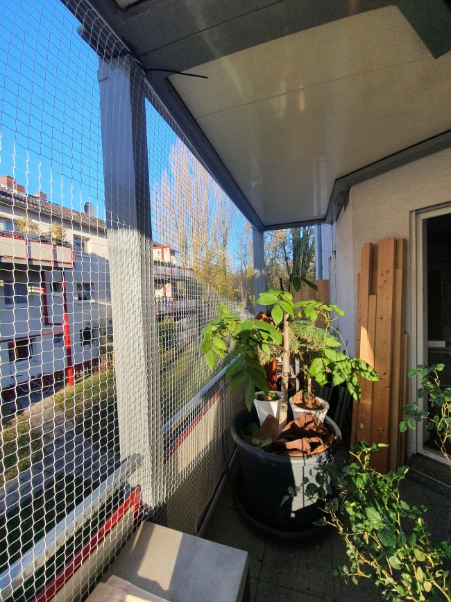 Kundenfoto von Cat Safety Net by the m² (Custom-Made) 