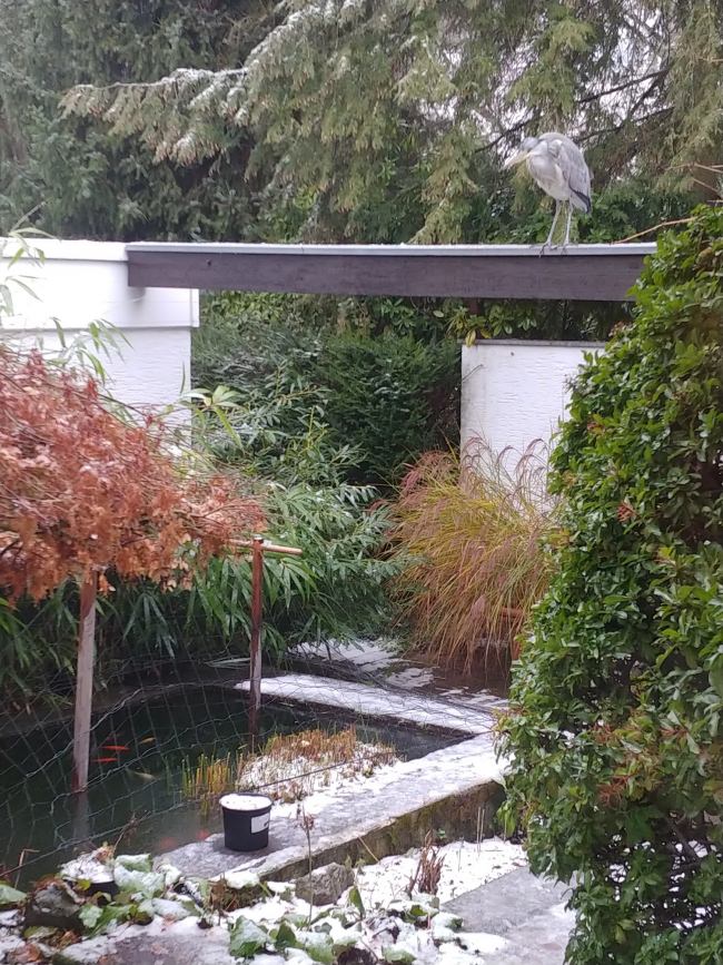 Kundenfoto von Schutznetz per m² (nach Maß) 1,5/50 mm 