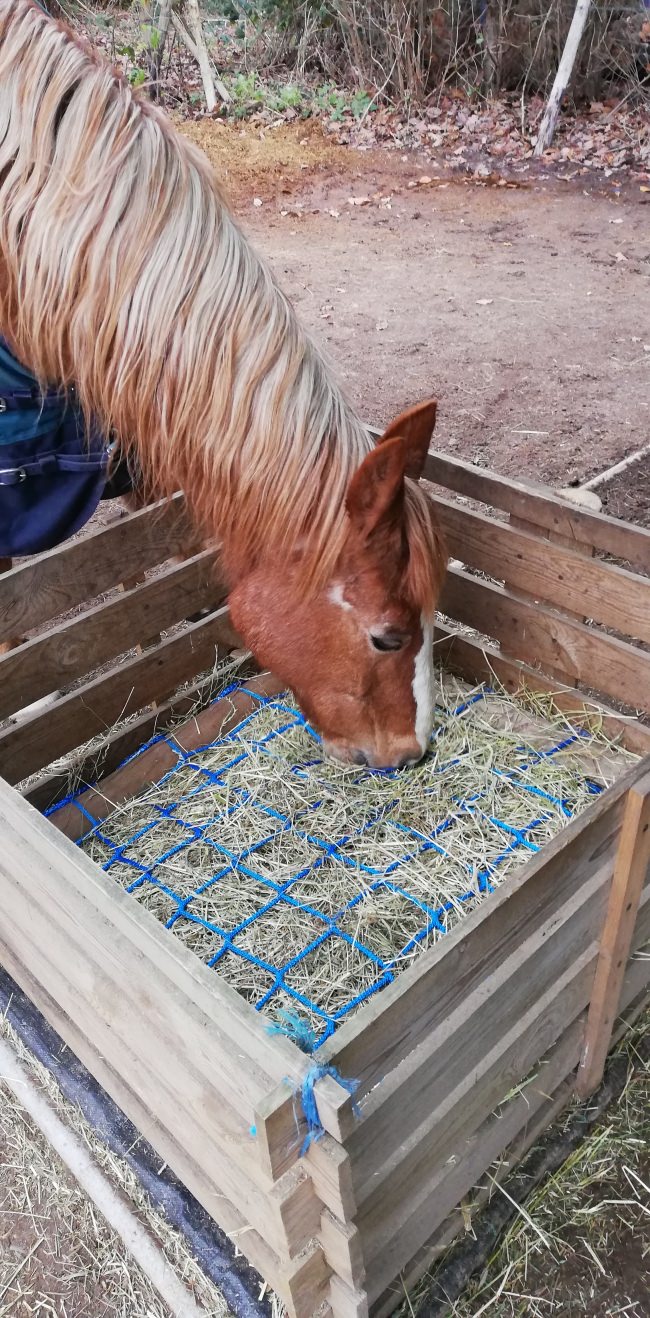 Kundenfoto von Net Made to Measure (by the m²) 5.0/100 mm 