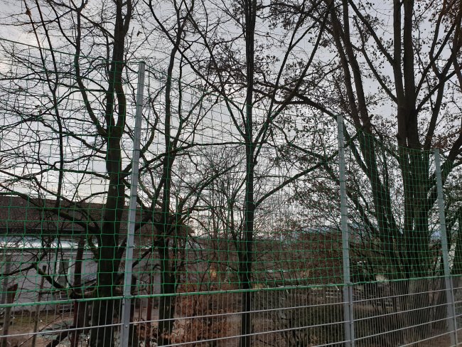 Kundenfoto von Ballfangnetz für Handball per m² (nach Maß) 