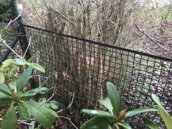 Kundenfoto von Courtyard Barrier Net - Available by the Meter 