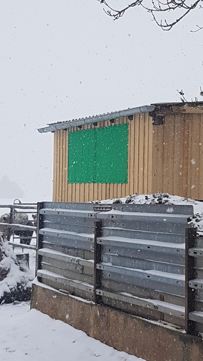 Kundenfoto von Luftdurchlässiges Gewebe per m² (nach Maß), grün 