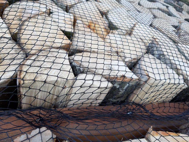 Kundenfoto von Close-meshed Bird Protection Net (Custom-Made) 