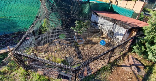 Kundenfoto von Custom-Made Foliage Protection Net against leaves 