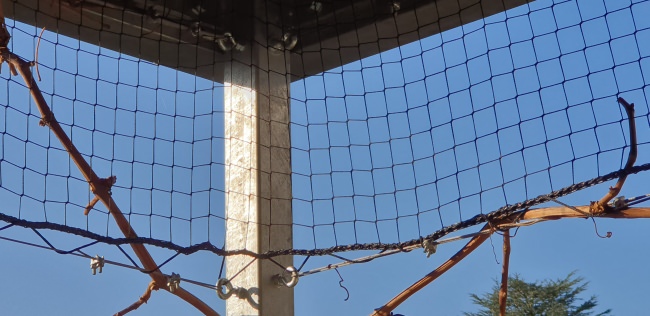 Kundenfoto von Bird Protection Net with Border, by the m² (Custom-Made) 