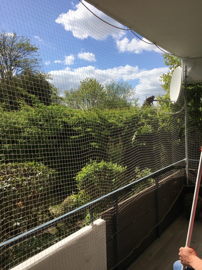 Kundenfoto von Bird Protection Net with Border, by the m² (Custom-Made) 