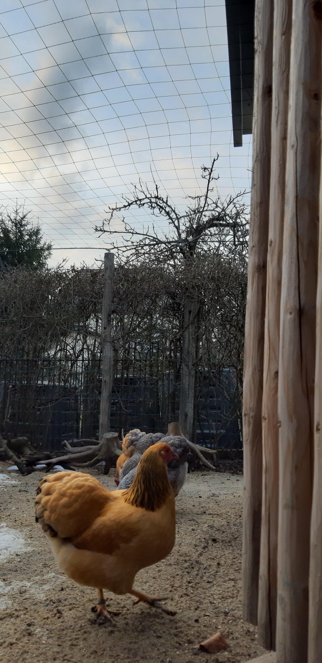 Kundenfoto von Sicherheitsnetz per m² (nach Maß) 1,5/100 mm 