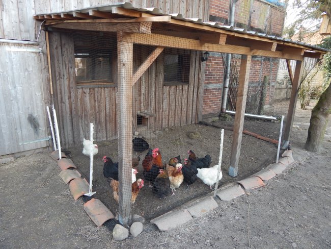 Kundenfoto von Close-meshed Bird Protection Net (Custom-Made) 