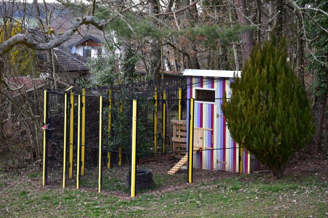 Kundenfoto von Vogelschutznetz per m² (nach Maß) 